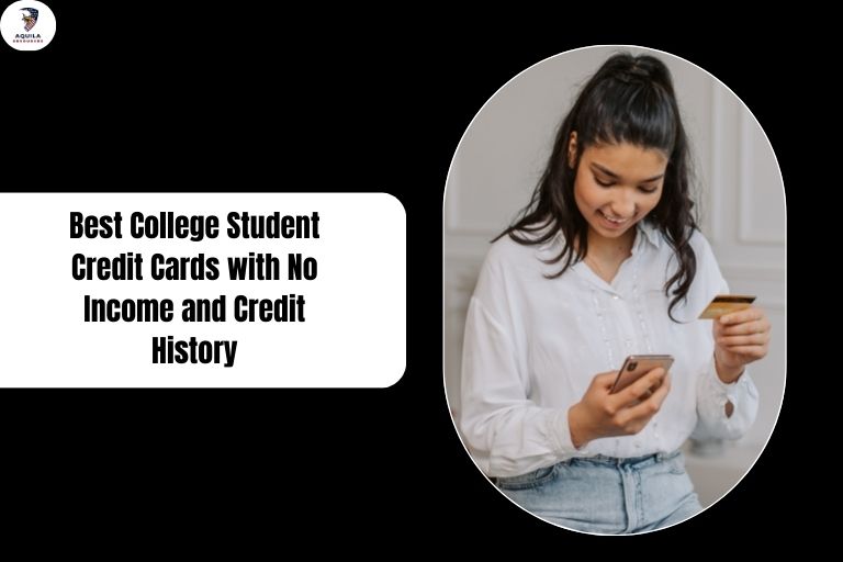 Best College Student Credit Cards with No Income and Credit History