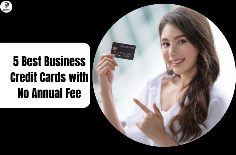 Business Credit Cards with No Annual Fee