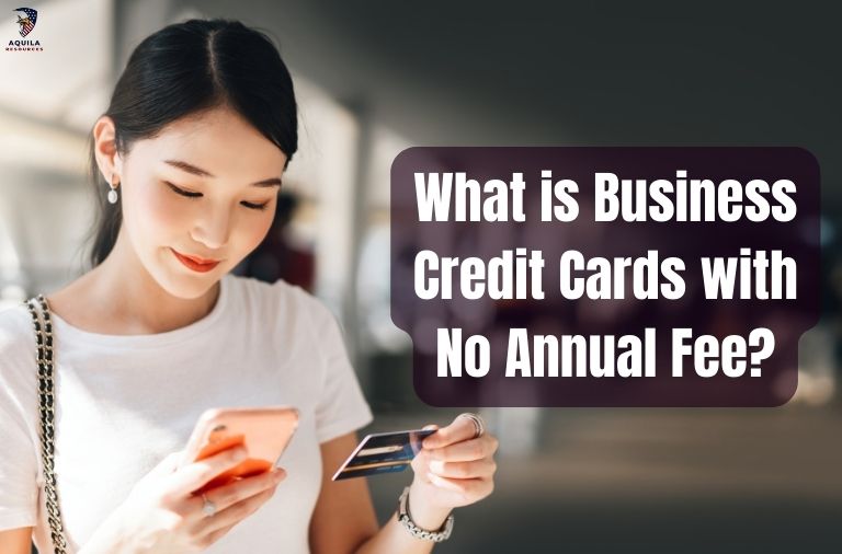What is Business Credit Cards with No Annual Fee?