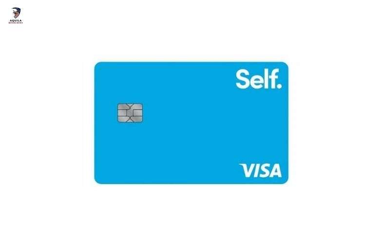 self Visa